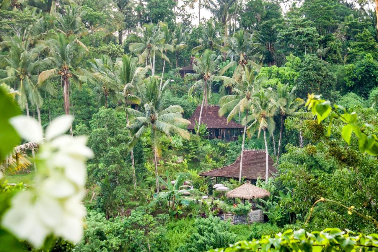 Villa Mahadevi Jungle Retreat Joglo 1 Ubud Zewnętrze zdjęcie