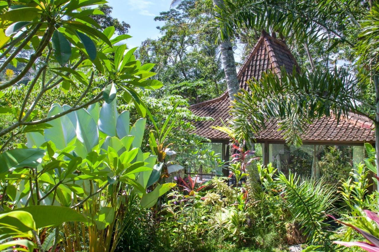 Villa Mahadevi Jungle Retreat Joglo 1 Ubud Zewnętrze zdjęcie